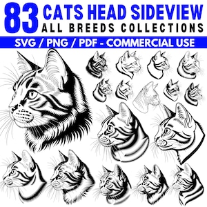 Cats head sideview all breeds collections Svg Png Pdf files bundle cricut cut files | instant download | Commercial use