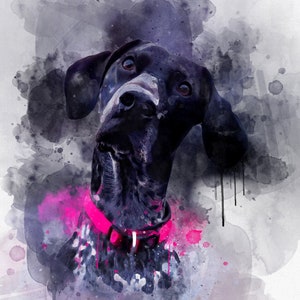 May include: A watercolor painting of a black and white dog with a pink collar. The dog is looking up and the name "Lucy" is written below the dog.