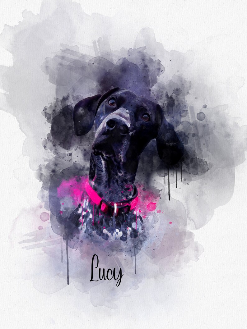 May include: A watercolor painting of a black and white dog with a pink collar. The dog is looking up and the name "Lucy" is written below the dog.