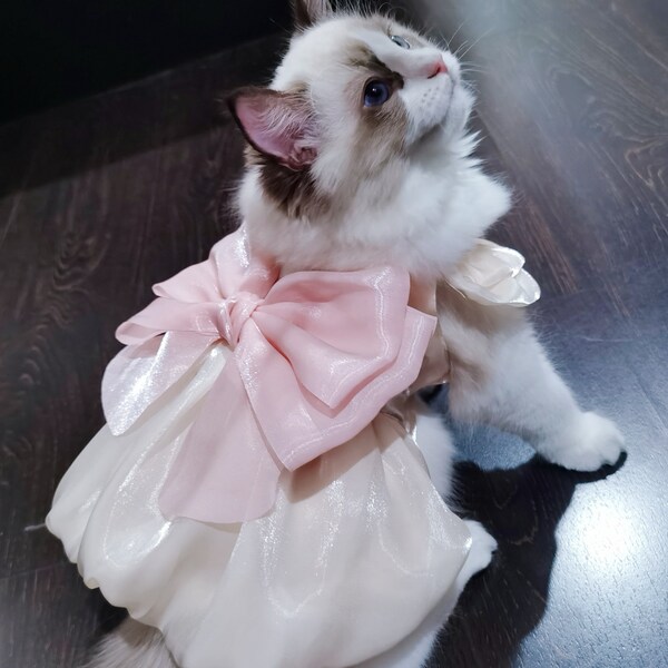 Dog and cat cute bow dress, designer dog and cat clothes, girl dog clothes, Pet, good for wedding, party