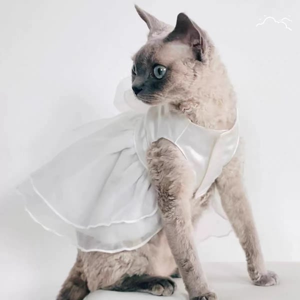 Dog wedding dress, designer dog clothes, CAT wedding dress, girl dog clothes, Pet collar, Cat Necklace, Cat collar, handmade wedding dress