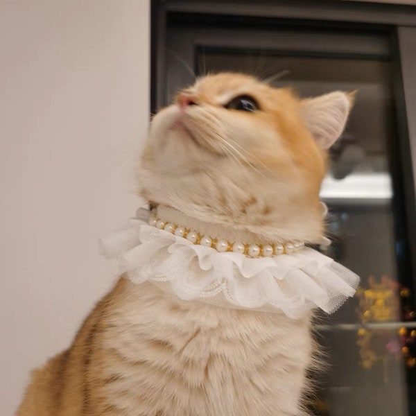Pearl Dog Collar, CAT Collar Necklace, Pearl Necklace, Jewelry For Dogs Cats, Pet collar, Cat Necklace, Cat collar, handmade collar