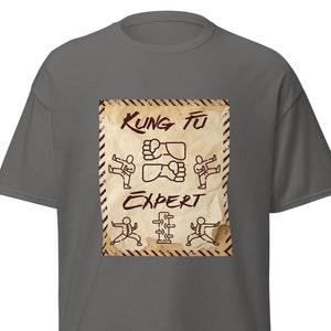 Camiseta especialista em Kung Fu para entusiastas de artes marciais camisa de ginástica Kung Fu camisa engraçada de Kung Fu top presente para ele camisa para presente de exercício