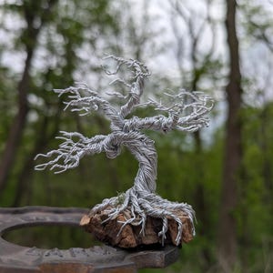 Wire Old Bonsai Windblown Sculpture
