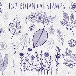 137 Botanical Stamps for Procreate + 10 Bonus Drawing Brushes, Flower ...