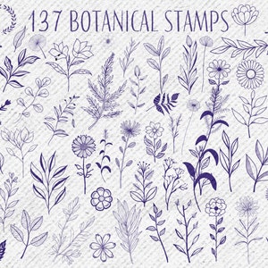 137 Botanical Stamps for Procreate + 10 Bonus Drawing Brushes, Flower ...