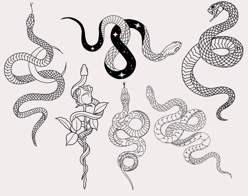 30 Snake Procreate Stamps, Procreate Snake Brushes, Procreate Snake Tattoo Stamps, Hand Drawn Procreate Brushes, Procreate, Snake, Tattoo image 7