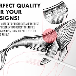 May include: A black and white illustration of a whale with a stippled texture. The whale is drawn in a realistic style and is shown swimming in the water. The image is accompanied by text that reads "PERFECT QUALITY FOR YOUR DESIGNS! GET THE MOST OUT OF PROCREATE AND THE BEST QUALITY BRUSHES THROUGHOUT THE ENTIRE DRAWING PROCESS, FROM THE SKETCH TO THE FINISHED RESULT."