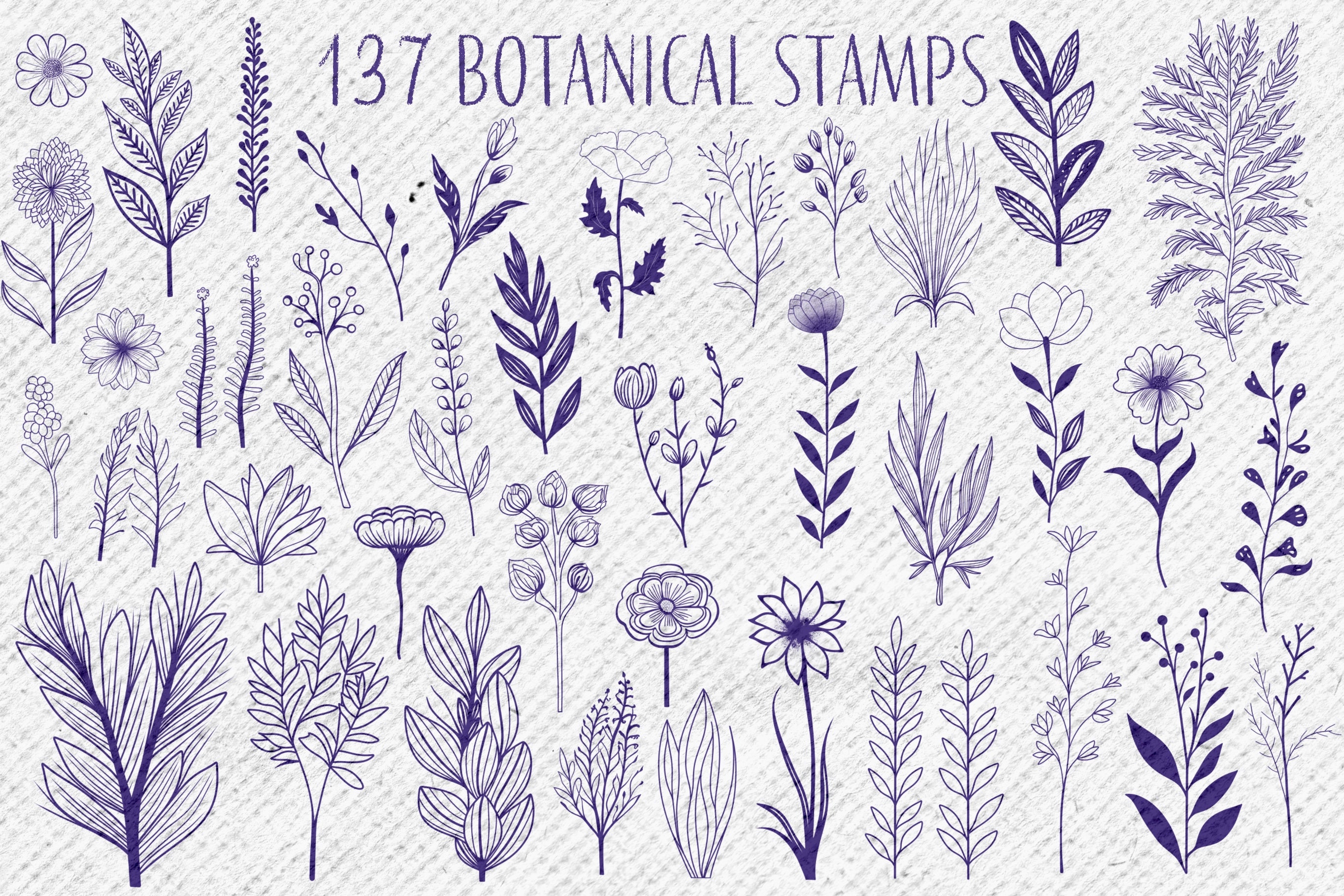 137 Botanical Stamps for Procreate + 10 Bonus Drawing Brushes, Flower ...