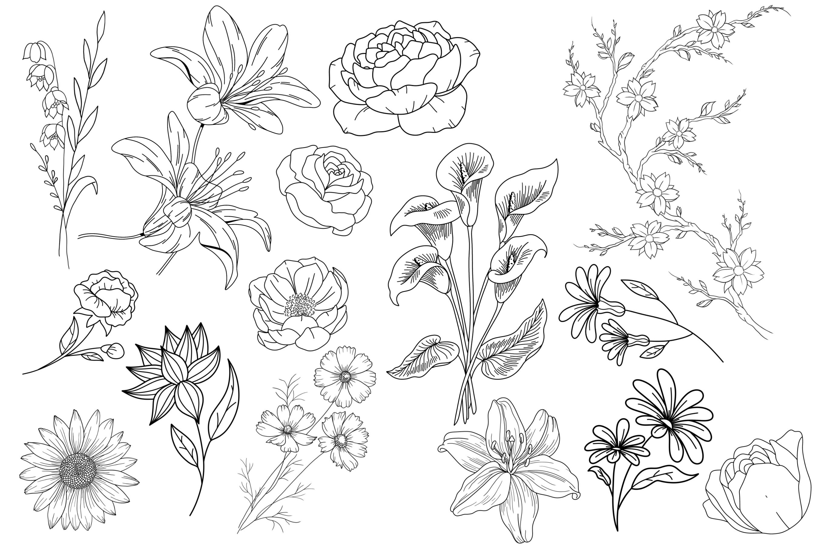 Flower Stamp Brushes for Procreate, Floral Stamps, Flower Stamps ...