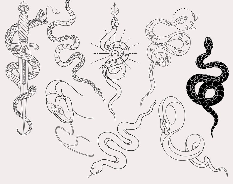 30 tampons de procréation de serpent, pinceaux de procréation de serpent, tampons de tatouage de procréation de serpent, pinceaux de procréation dessinés à la main, procréation, serpent, tatouage image 5
