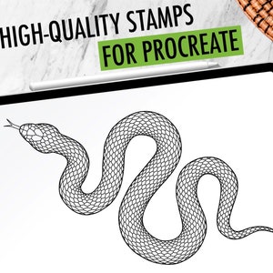 30 Snake Procreate Stamps, Procreate Snake Brushes, Procreate Snake Tattoo Stamps, Hand Drawn Procreate Brushes, Procreate, Snake, Tattoo image 2