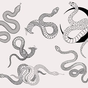 30 tampons de procréation de serpent, pinceaux de procréation de serpent, tampons de tatouage de procréation de serpent, pinceaux de procréation dessinés à la main, procréation, serpent, tatouage image 8