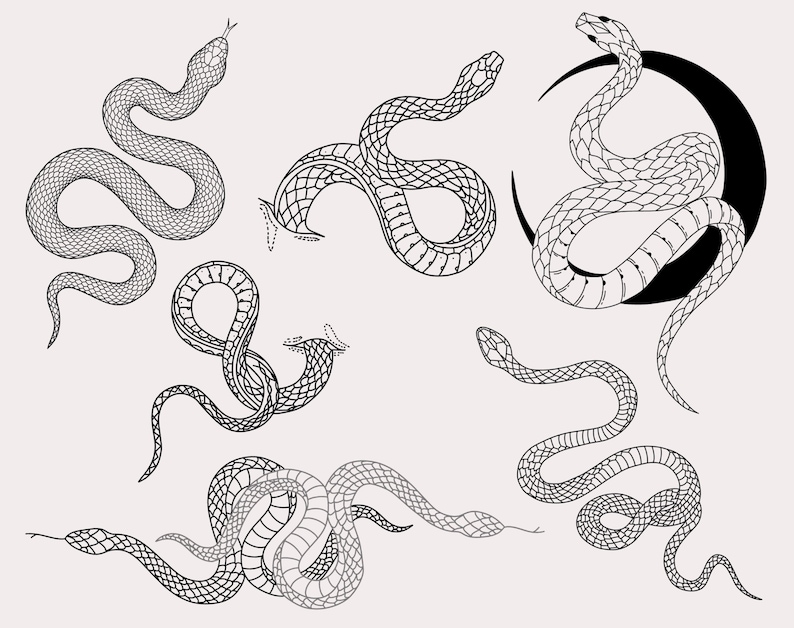 30 Snake Procreate Stamps, Procreate Snake Brushes, Procreate Snake Tattoo Stamps, Hand Drawn Procreate Brushes, Procreate, Snake, Tattoo image 8