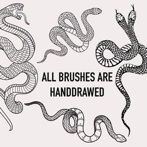 30 Snake Procreate Stamps, Procreate Snake Brushes, Procreate Snake Tattoo Stamps, Hand Drawn Procreate Brushes, Procreate, Snake, Tattoo image 9