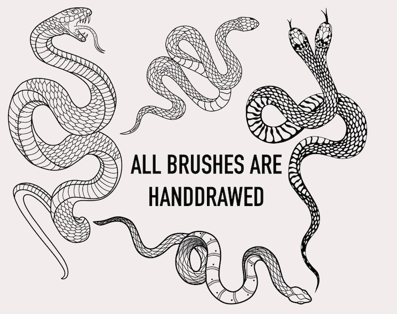 30 Snake Procreate Stamps, Procreate Snake Brushes, Procreate Snake Tattoo Stamps, Hand Drawn Procreate Brushes, Procreate, Snake, Tattoo image 9