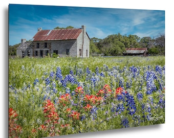 Bluebonnet House Wall Decor, Texas Hill Country Wildflower Landscape | Framed Canvas Print