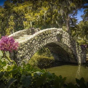 New Orleans City Park Print: Langles Bridge, Moss-Draped Oaks