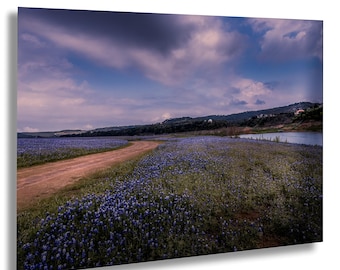 Texas Bluebonnets Before the Storm Wall Art, Hill Country Scenic Photography, Lake Travis Sunset, Rural Landscape Decor