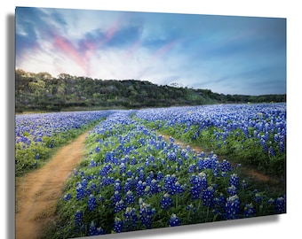Lienzo impreso con arte del amanecer entre lupinos azules de Texas: Fotografía de paisajes de la región montañosa.