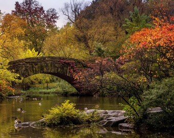 Central Park Gapstowe Bridge | Manhattan | Fall Foliage | New York | Canvas | Acrylic | Metal | Paper
