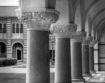 Rice University | Lovett Hall | Attenuated Columns | Houston | Neo-Byzantine | Architecture | Print | Canvas | Acrylic | Metal