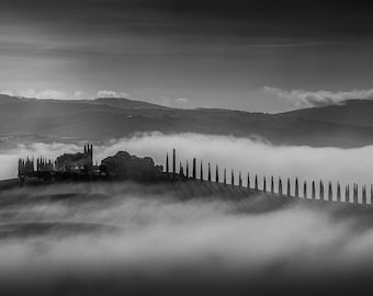 Misty Tuscany Farmhouse Photo: Italian Cypress Tree Landscape
