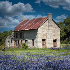 Bluebonnet House, Texas Hill Country, Bluebonnet, Marble Falls, Bluebonnet Wall Art, Primavera, Carta / Tela / Acrilico / Metallo