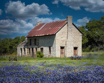 Estampado de la Casa de los Bluebonnets de Texas: Paisaje de flores silvestres de la región montañosa