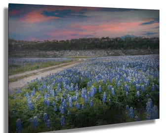 Cuadro decorativo "Amanecer con lupinos azules": Paisaje de la región montañosa de Texas.