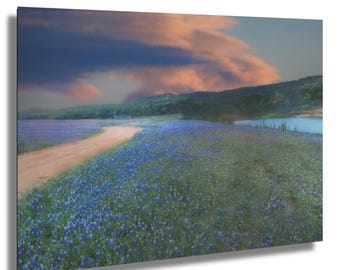 Bluebonnet Sunrise Canvas Print: Texas Hill Country Wall Art