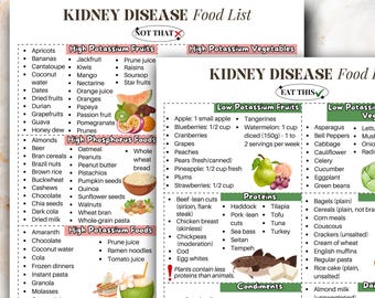 Kidney Friendly Food List Digital Poster, Stage 3 Kidney Foods To Avoid, Kidney Friendly Diet, CKD Food Chart, CKD Protein Foods