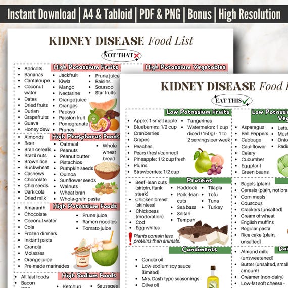 Kidney Friendly Food List Digital Poster, Stage 3 Kidney Foods To Avoid, Kidney Friendly Diet, CKD Food Chart, CKD Protein Foods