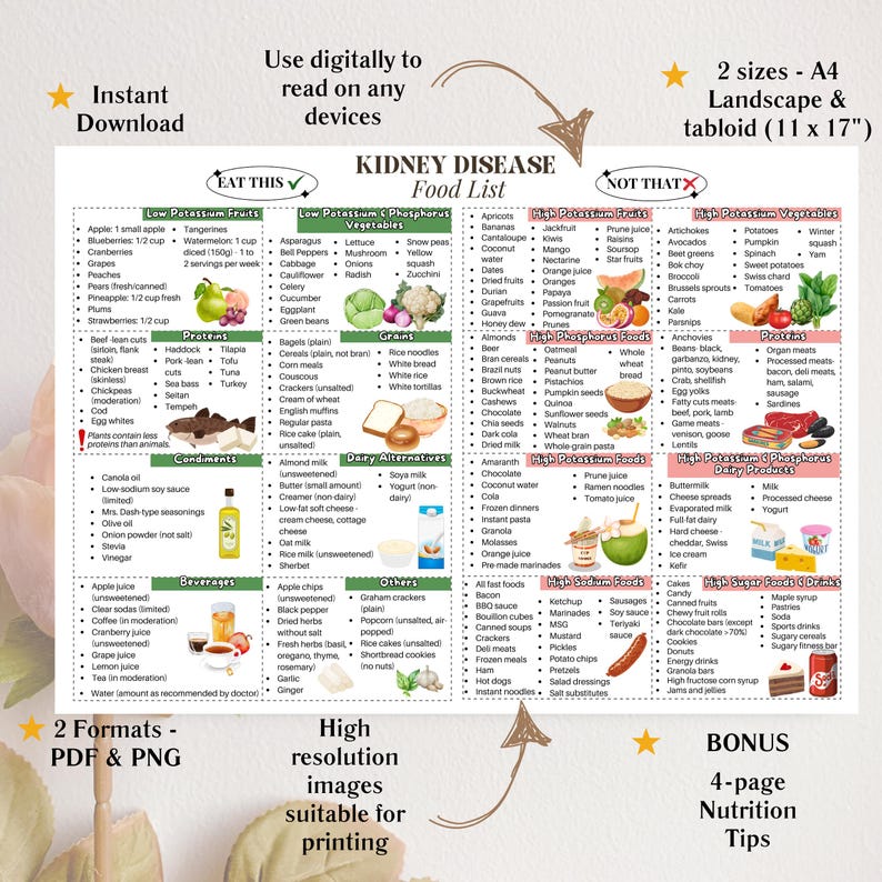 Kidney Food List Printable Digital Poster, Stage 3 Kidney Disease Food ...