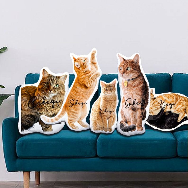 Custom Photo Pillow With Name Custom Shaped Pet Memorial Gift Humanoid