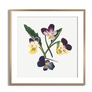 DIGITAL DOWNLOAD- Botanical Watercolor Painting, Vintage Farmhouse Print PRINTABLE, Antique Pansies Wildflowers Country Cottagecore Wall Art