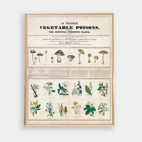 DIGITAL DOWNLOAD - Poisonous Mushrooms & Plants Scientific Chart, Cool Office and Lab Decor, Geek Wall Art, Vintage Botanical Print Artwork