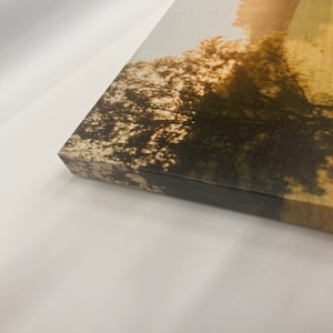May include: A canvas print featuring a landscape scene with trees and water, bathed in warm sunlight. The artwork is stretched over a wooden frame, showcasing the edge of the print. The color palette includes shades of brown, green, and gold.