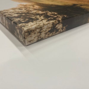 May include: Close-up of a canvas print with a natural landscape design. The canvas is stretched over a wooden frame, with the edges wrapped and secured. The print features shades of brown, beige, and green.