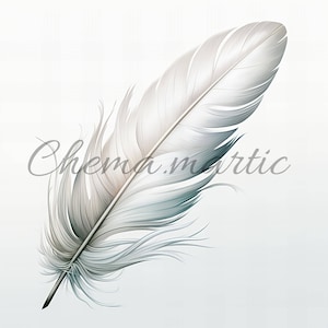 Packen Sie 10 Vogelfedern-Malbilder, Clipart, digitaler Download, 10 JPG HQ 4096x4096-300 DPI, Digitaldruck, Tier- und Naturkunst.