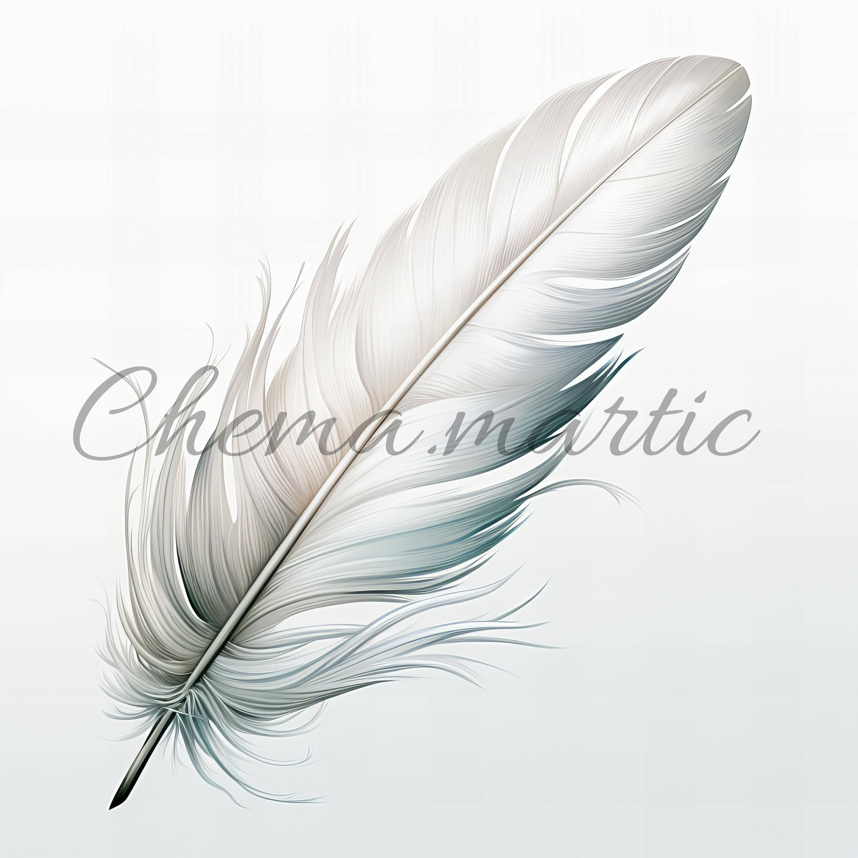 Pluim tekening - Etsy België, image size:3000x3000