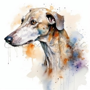 Confezione 10 immagini ad acquerello di cani levrieri, clipart, download digitale, 10 JPG di alta qualità 4096x4096 - 300 DPI, stampa digitale