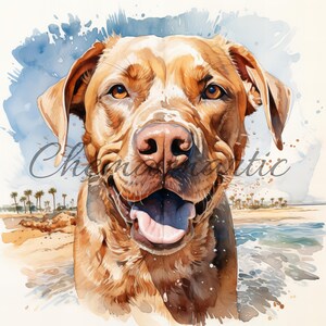 Pack 10 dog on beach watercolor painting images, clipart, digital download, 10 JPG HQ 4096x4096 - 300 DPI, digital printing, animal art.