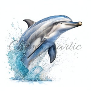 Delfin-Kunstbilder, Clipart, digitaler Download, 10 JPG hohe Qualität 4096x4096 - 300 DPI, für Digitaldruck, digitale Kunst
