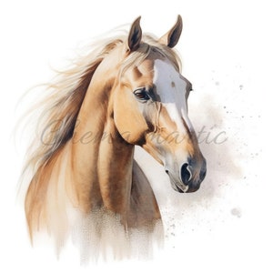 Packen Sie 10 künstlerische Gemälde Pferdebilder, Clipart, digitaler Download, 10 JPG hohe Qualität 4096x4096 - 300 DPI, Digitaldruck, Tierkunst.