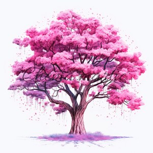 Puede incluir: Un gran árbol rosa con ramas largas y colgantes y flores rosas. El árbol está sobre un fondo blanco.