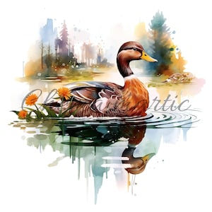 Packen Sie 11 künstlerische Gemälde mit Enten im See, Clipart, digitaler Download, 11 JPG in hoher Qualität 4096x4096-300 DPI, für den Digitaldruck.