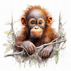 May include: A watercolor painting of a young orangutan with reddish-brown fur, sitting on a branch with green leaves. The orangutan has a sweet expression on its face and is looking directly at the viewer.
