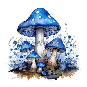 Pack 10 colorful mushrooms watercolor painting images, clipart, digital download, 10 JPG HQ 4096x4096 - 300 DPI, for digital printing.