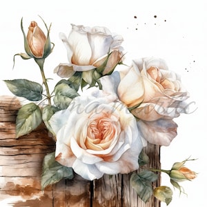Pack de 10 imágenes de distintas rosas pintadas en acuarela, clipart, para descarga digital, 10 JPG de 4096 x 4096 - 300 ppp (DPI).